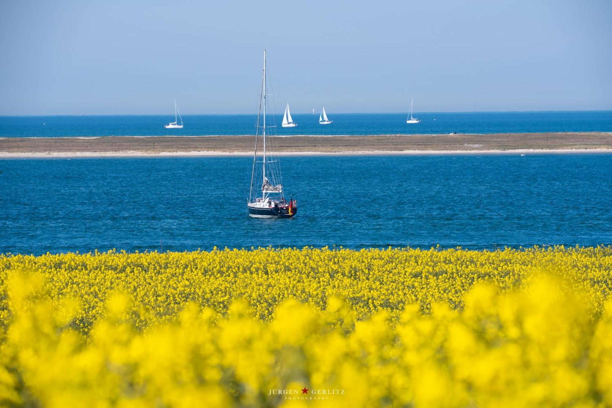 Urlaub Mit Ostseeblick, Schwimmbad, Sauna & Direkte Strandlage Kronsgaard Екстер'єр фото
